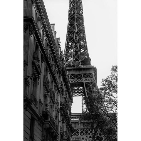 Tour Eiffel - Eiffel Tower Black Modern Wood Framed Art Print with Double Matting by 1x Studio III