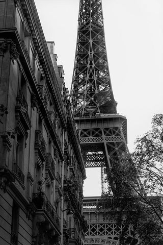 Tour Eiffel - Eiffel Tower Black Ornate Wood Framed Art Print with Double Matting by 1x Studio III