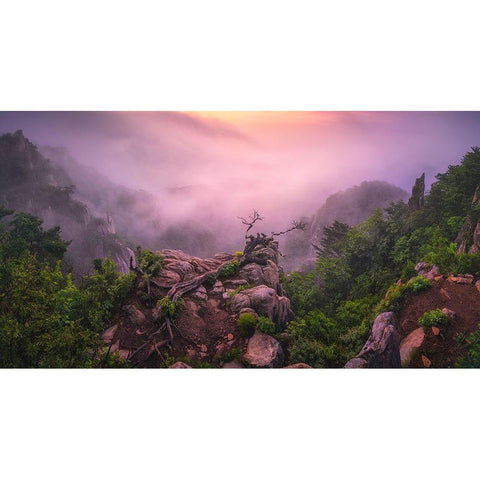 New Life Gold Ornate Wood Framed Art Print with Double Matting by Seo, Tiger