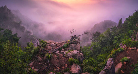 New Life Black Ornate Wood Framed Art Print with Double Matting by Seo, Tiger