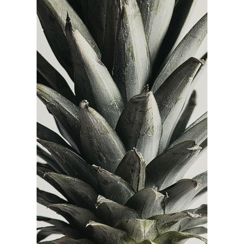 Pineapple close up White Modern Wood Framed Art Print by 1x Studio III