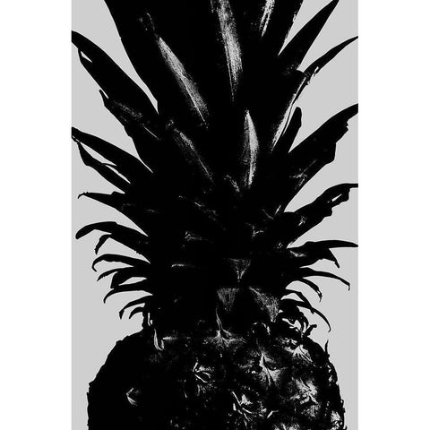 Pineapple bw Black Modern Wood Framed Art Print with Double Matting by 1x Studio III