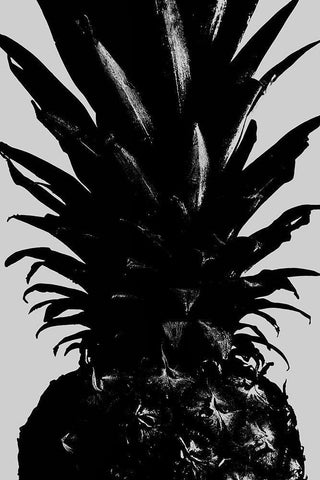 Pineapple bw Black Ornate Wood Framed Art Print with Double Matting by 1x Studio III