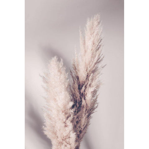 Pampas Grass Black Modern Wood Framed Art Print by 1x Studio III