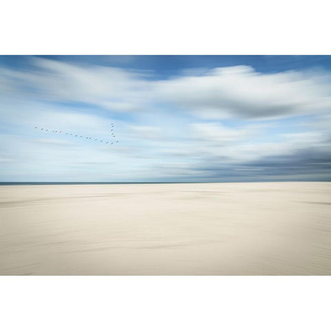 Birds At The Seaside Black Modern Wood Framed Art Print by Reichelt, Dieter