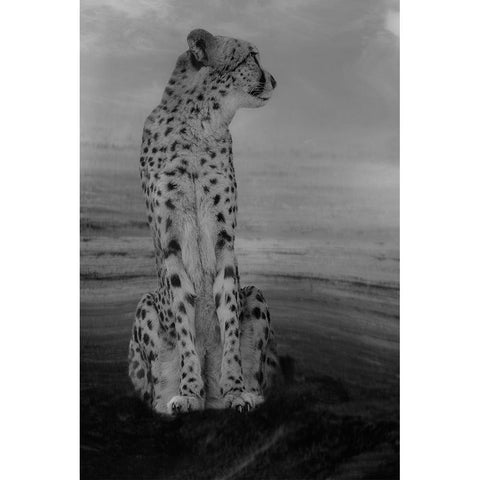 Cheetah on the Watch Gold Ornate Wood Framed Art Print with Double Matting by Wisniowska, Krystina