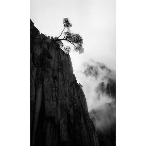 Mt. Huang Black Modern Wood Framed Art Print with Double Matting by Gu, Cher