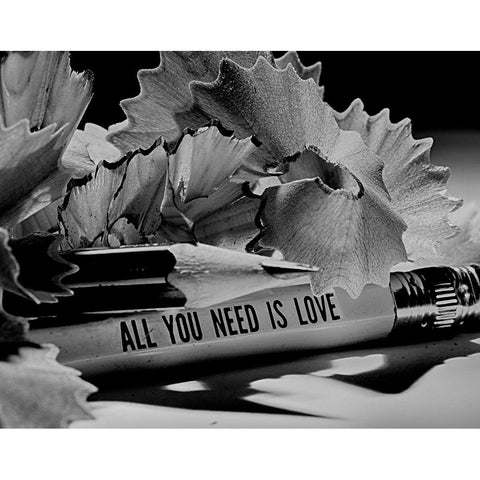 All You Need Is Love White Modern Wood Framed Art Print by Bulus, Razvan