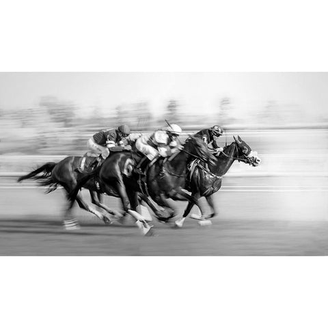 Horse Racing @ Queens Plate Black Modern Wood Framed Art Print with Double Matting by little7