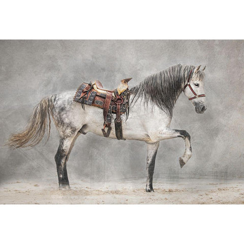 Strike A Pose White Modern Wood Framed Art Print by Tennant, Julie
