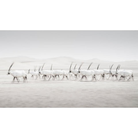 Movement Black Modern Wood Framed Art Print by Newton, Dan