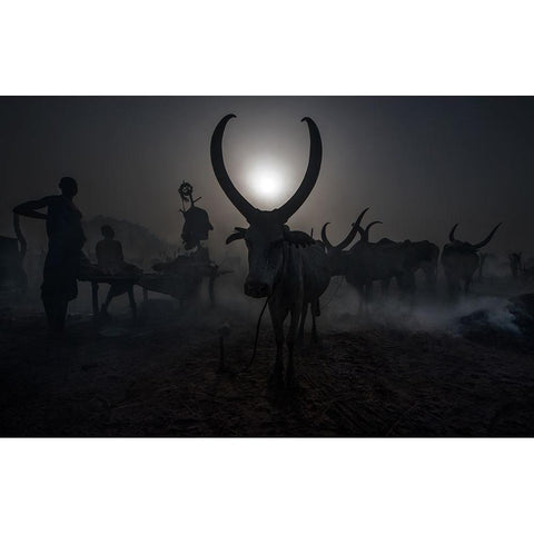 At a Mundari cattle camp - South Sudan Gold Ornate Wood Framed Art Print with Double Matting by Inazio Kuesta, Joxe