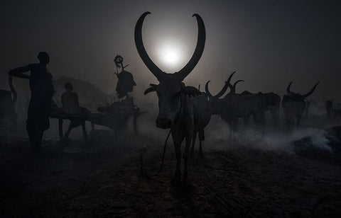 At a Mundari cattle camp - South Sudan White Modern Wood Framed Art Print with Double Matting by Inazio Kuesta, Joxe