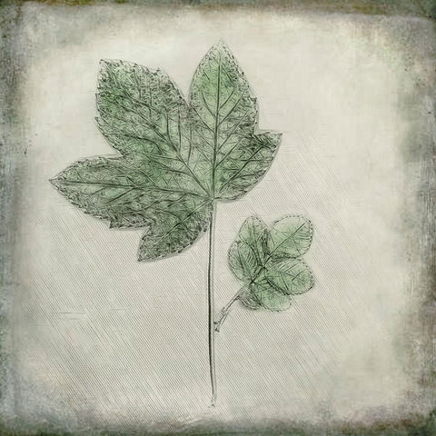 Before the Decay Black Modern Wood Framed Art Print by Kiral, Cicek