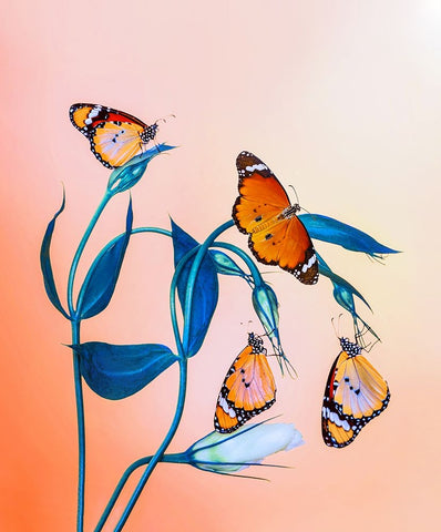 Family Black Ornate Wood Framed Art Print with Double Matting by ozturk, Mustafa