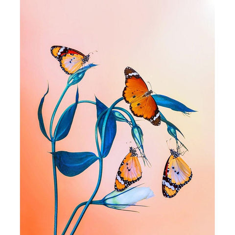 Family Black Modern Wood Framed Art Print by ozturk, Mustafa