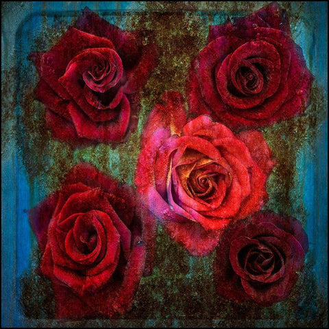 Old Love Never Dies Black Modern Wood Framed Art Print with Double Matting by Holmstrom, Katarina