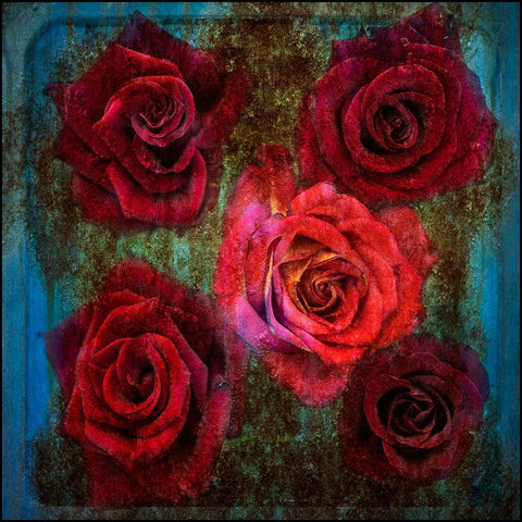 Old Love Never Dies Black Ornate Wood Framed Art Print with Double Matting by Holmstrom, Katarina