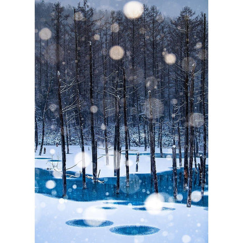 Never-never Land Black Modern Wood Framed Art Print with Double Matting by Sono, Hidenori