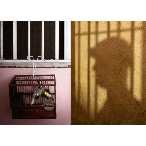 El Aleteo Gold Ornate Wood Framed Art Print with Double Matting by Angel Franco, Miguel