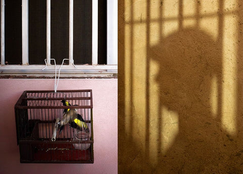 El Aleteo White Modern Wood Framed Art Print with Double Matting by Angel Franco, Miguel