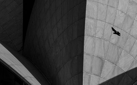 LOTUS TEMPLE Black Ornate Wood Framed Art Print with Double Matting by Chawla, Shobhit