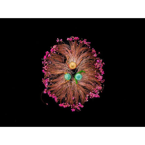 COLORS OF LIFE Black Modern Wood Framed Art Print with Double Matting by Adikary, Sujon