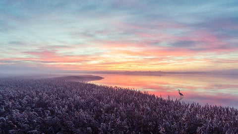 The herons morning view. White Modern Wood Framed Art Print with Double Matting by Londal, Leif