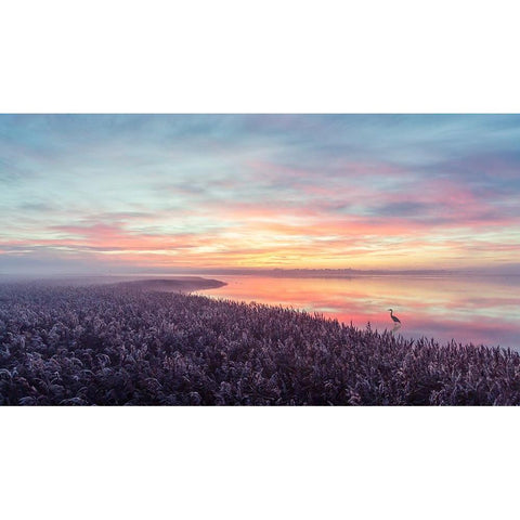 The herons morning view. Black Modern Wood Framed Art Print with Double Matting by Londal, Leif