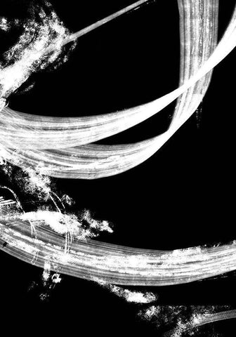 negatives_006_tapestry Black Ornate Wood Framed Art Print with Double Matting by 1x Studio II