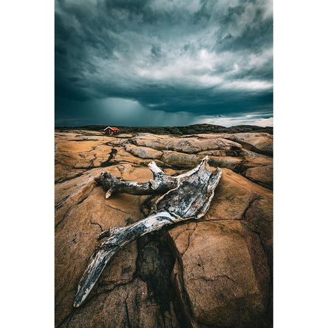 Drift Wood Black Modern Wood Framed Art Print by Larsson, Dan