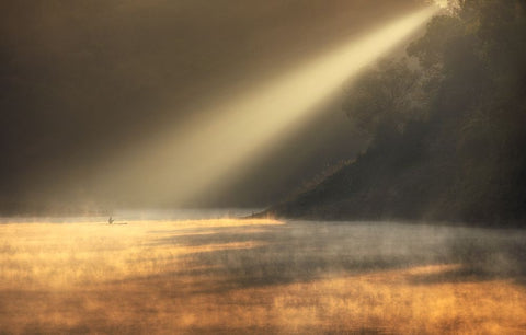 Lonely under the dawn Black Ornate Wood Framed Art Print with Double Matting by Tan Tuan, Nguyen