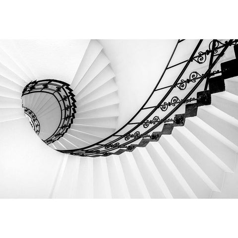 GOLDEN RATIO White Modern Wood Framed Art Print by Turkistani, Hanaa