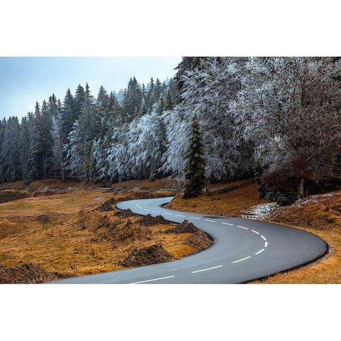 The road and the frozen trees Gold Ornate Wood Framed Art Print with Double Matting by Paralleles, Visions