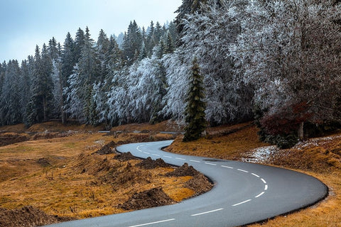 The road and the frozen trees Black Ornate Wood Framed Art Print with Double Matting by Paralleles, Visions