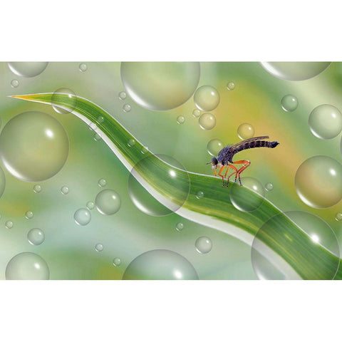 Migration To Another Planet... Black Modern Wood Framed Art Print with Double Matting by Dufour, Thierry