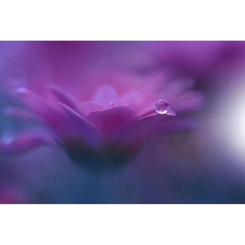 Without Form, Without Limit...II White Modern Wood Framed Art Print by Nan, Juliana