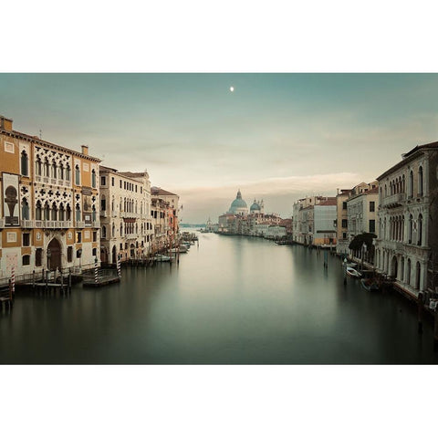 Venice White Modern Wood Framed Art Print by Reichelt, Dieter