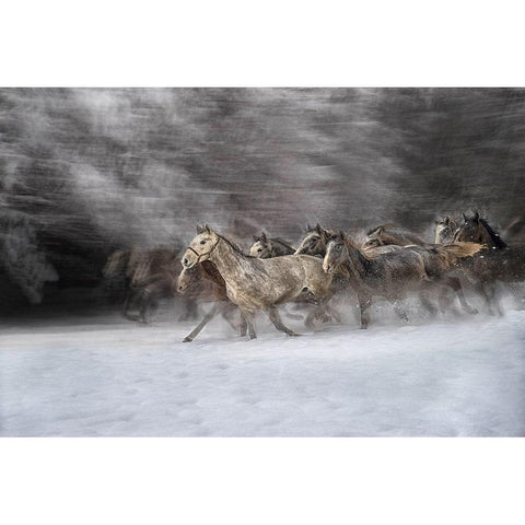 Winter joy White Modern Wood Framed Art Print by Malovrh, Milan