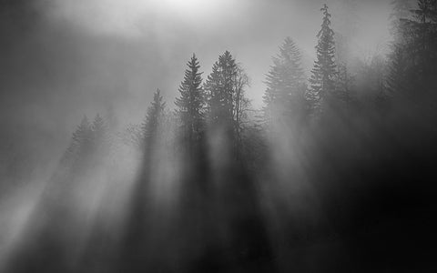 wintersun White Modern Wood Framed Art Print with Double Matting by Dauer, Andy