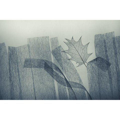 Leaf White Modern Wood Framed Art Print by Kowatari, Shihya