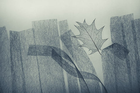 Leaf White Modern Wood Framed Art Print with Double Matting by Kowatari, Shihya