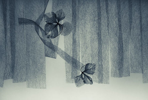 Ephemeral Beauty White Modern Wood Framed Art Print with Double Matting by Kowatari, Shihya