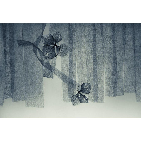 Ephemeral Beauty Black Modern Wood Framed Art Print by Kowatari, Shihya