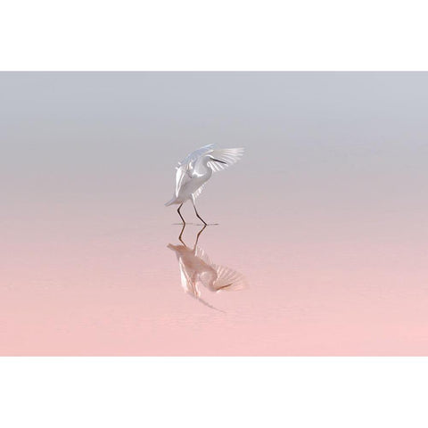 Little Egret Black Modern Wood Framed Art Print by Rublina, Natalia