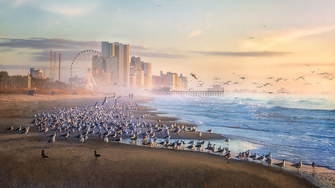 Good Morning Black Ornate Wood Framed Art Print with Double Matting by Yang, Jianping