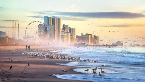 Autumn Morning At The Beach Black Ornate Wood Framed Art Print with Double Matting by Yang, Jianping