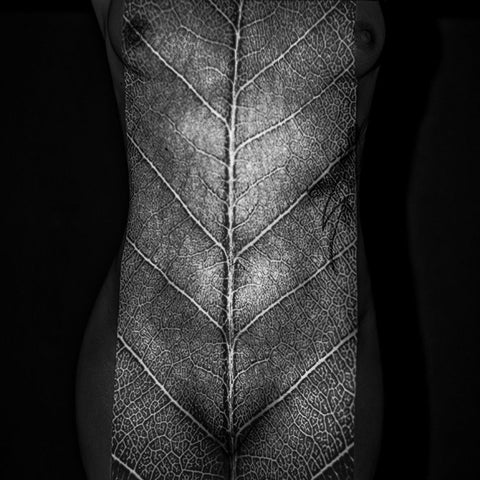 Leaf Of Life Black Ornate Wood Framed Art Print with Double Matting by Grimm, Markus