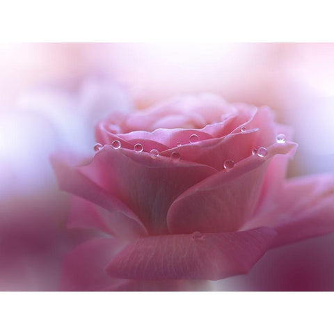 Will We Be Enough.. Black Modern Wood Framed Art Print by Nan, Juliana