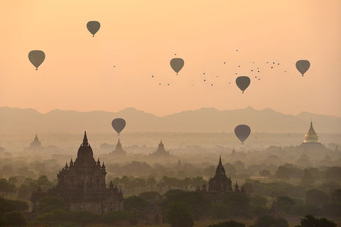 Bagan, balloons flying over ancient temples White Modern Wood Framed Art Print with Double Matting by Intarob, Sarawut